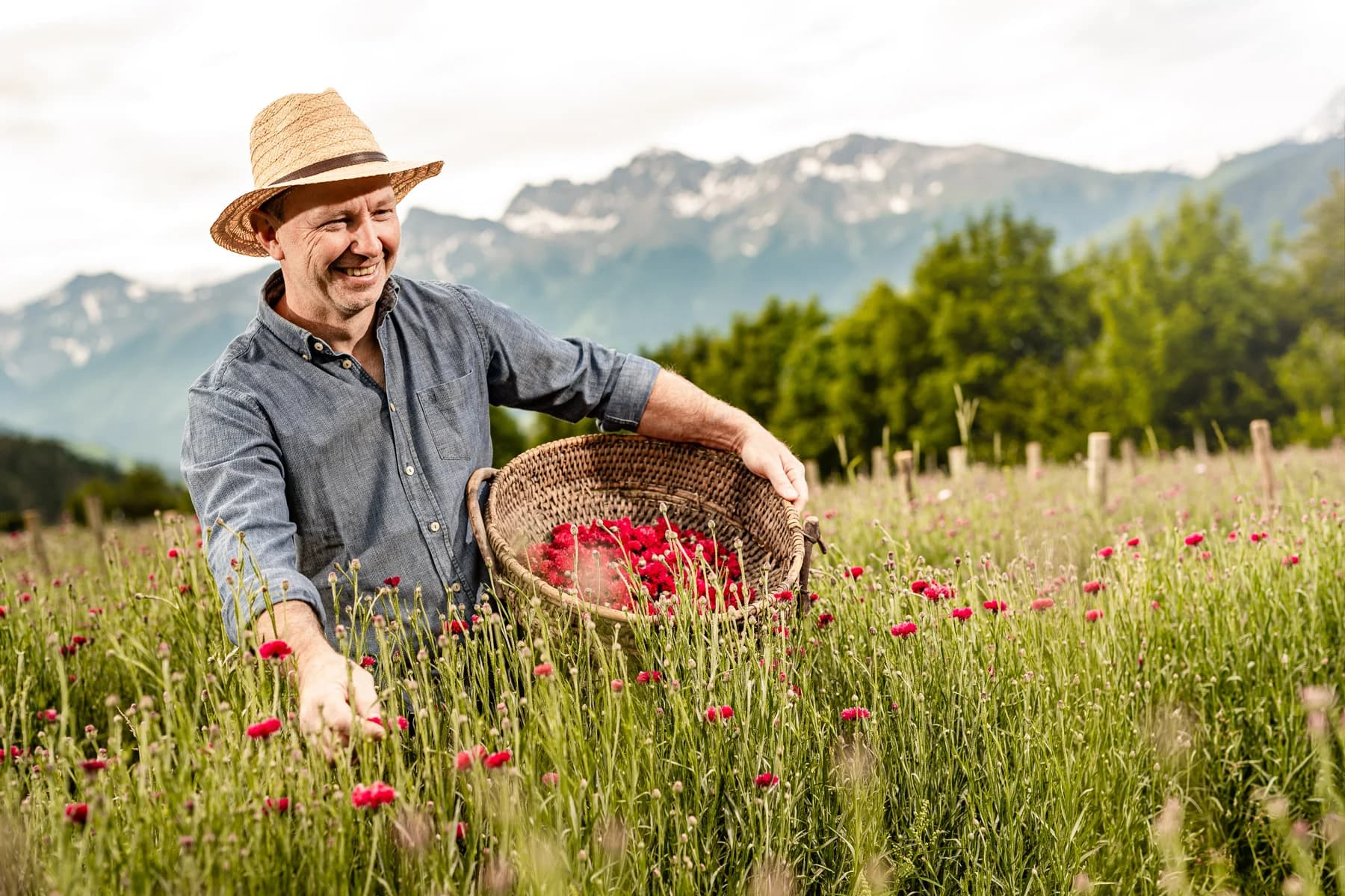 Fasui Kräuterbauer bei der Ernte auf den Südtiroler Feldern